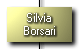 Silvia Borsari