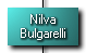 Nilva Bulgarelli