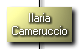 Ilaria Cameruccio
